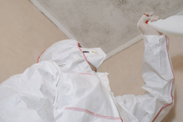Best Bathroom Mold Remediation in Zionsville, IN
